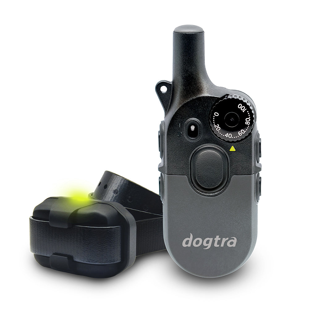 Dogtra 1/2 Mile 2 Dog Compact Remote Trainer Black