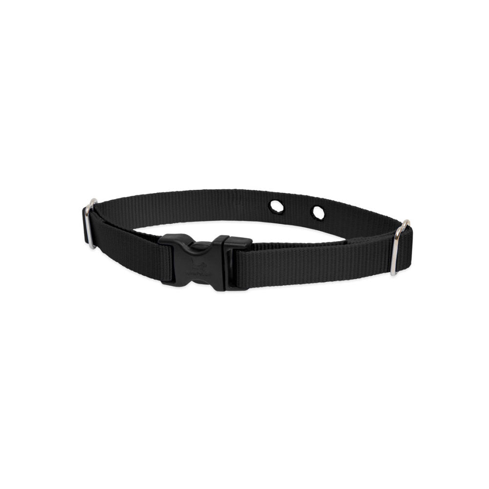 Lupine Pet 2 Hole Adjustable Nylon Replacement Collar Strap 3/4 inch Medium Black